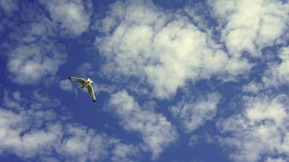 6772950618_29984ea343_b