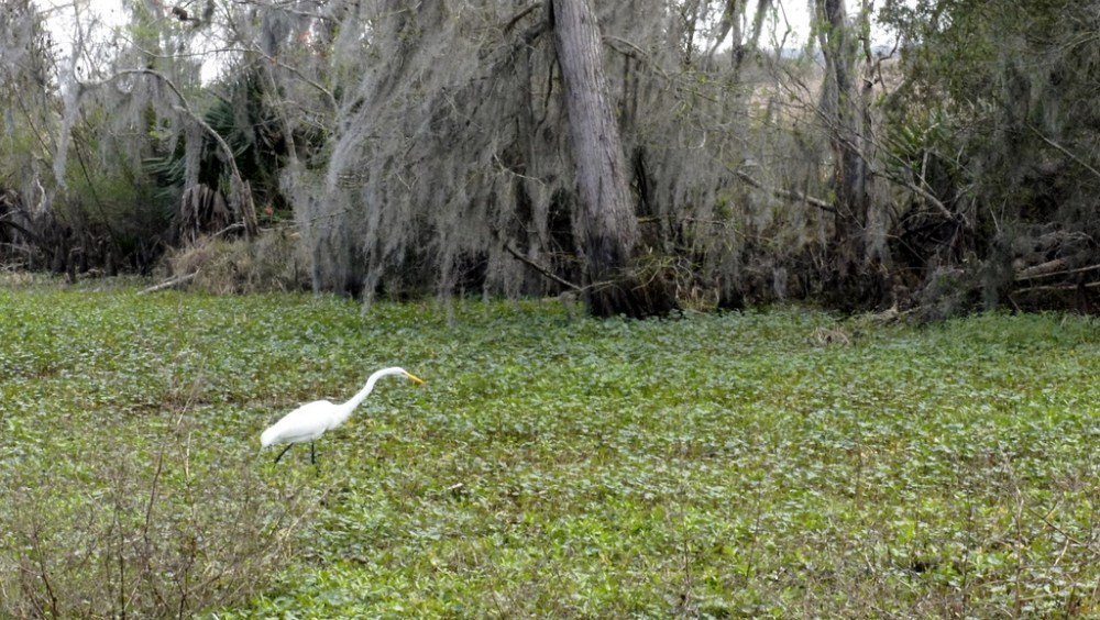 6778533696_72888913d6_b