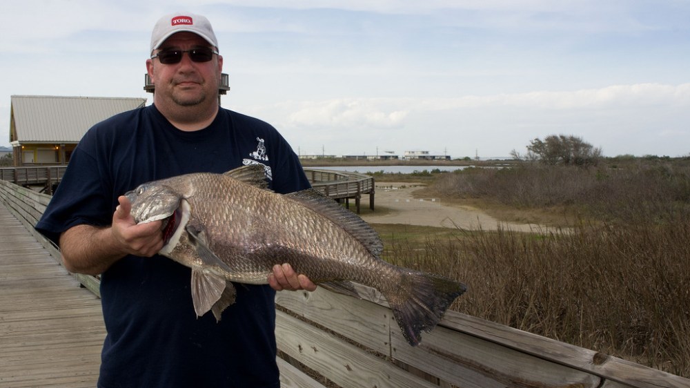 6807577568_367cdac93e_b