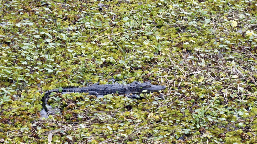 6924647663_d3a23ccdf4_b