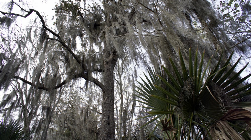 6924652831_fa20f811af_b