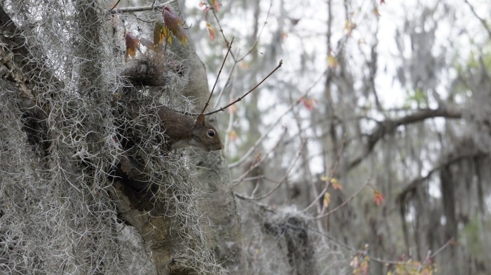 6924653425_96cd51952e_b