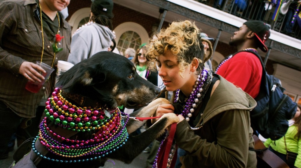 6942256779_68b38f7f94_b