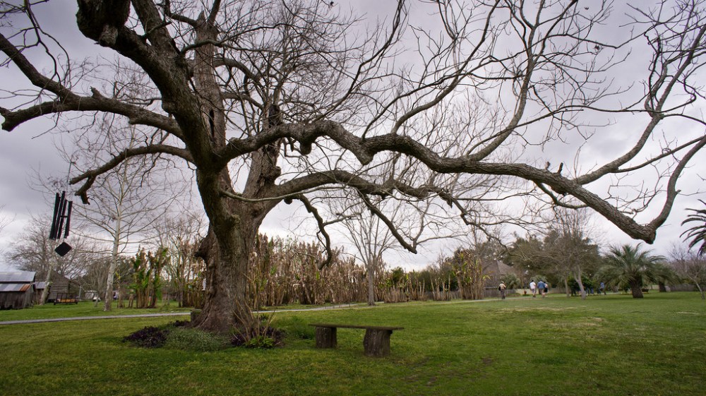 7021762739_409b326819_b