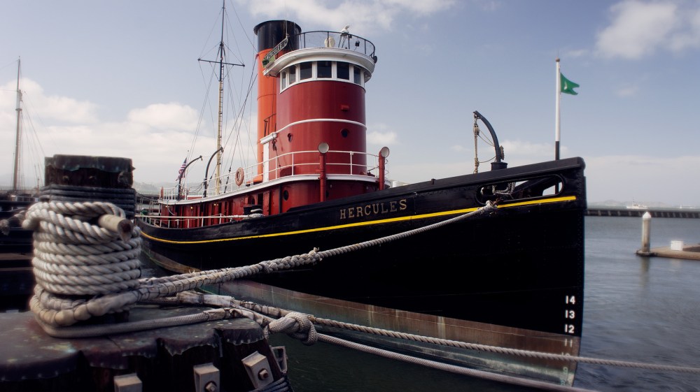 7396391182_b98ab8382e_h