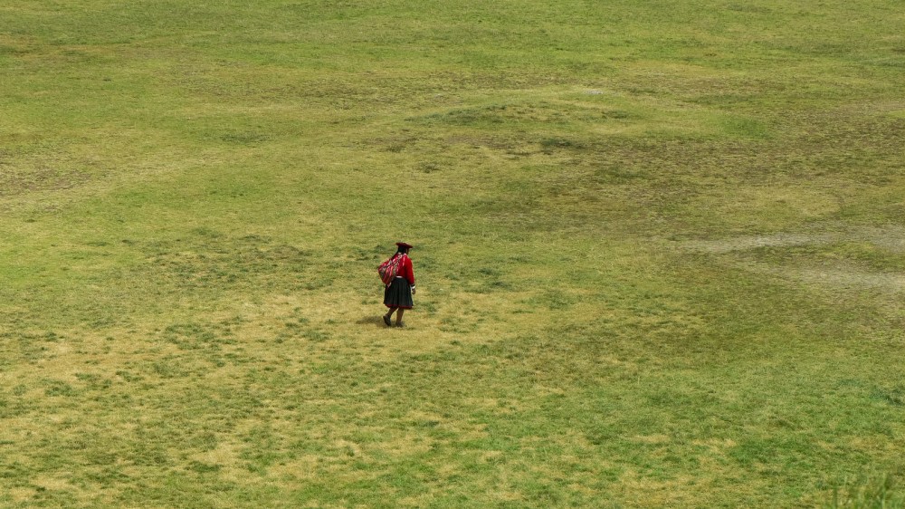 13032896933_0be38b0c68_h