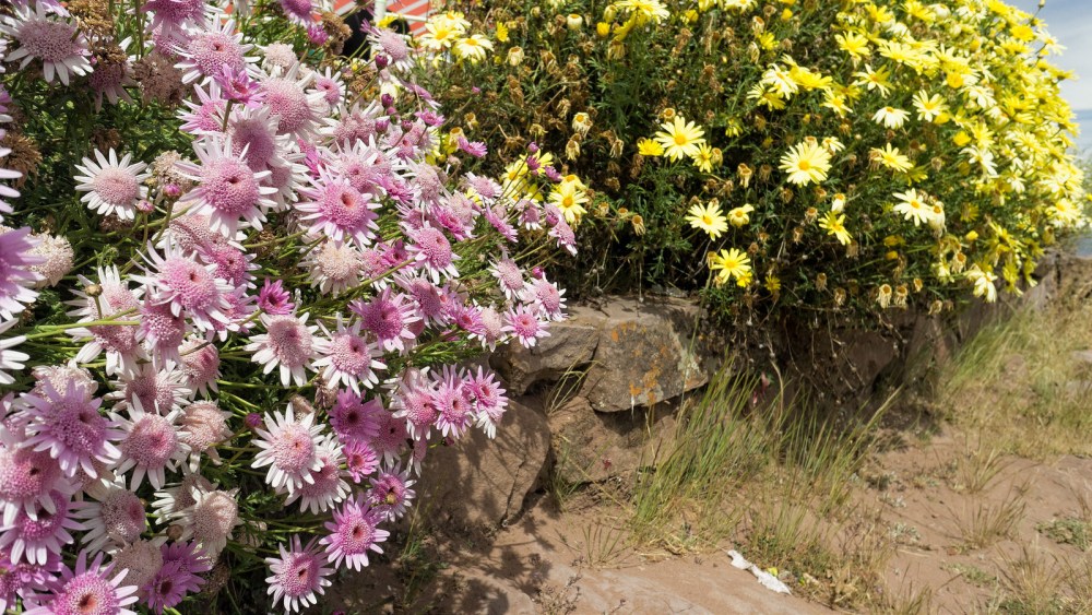 13034663343_2a3698d2c3_h