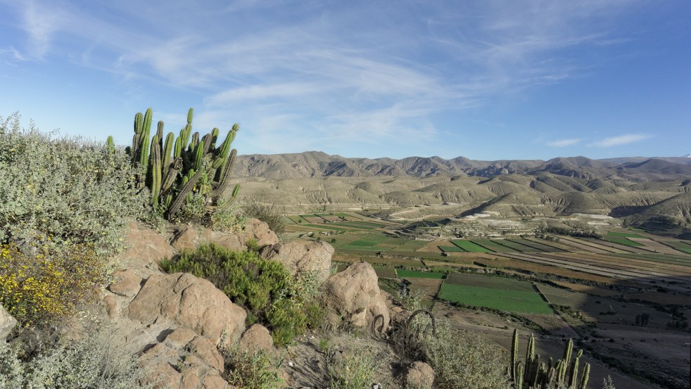 13041646525_659bbb67a8_h