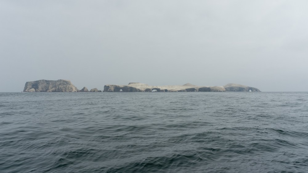 13044727495_9c5985d8d2_h