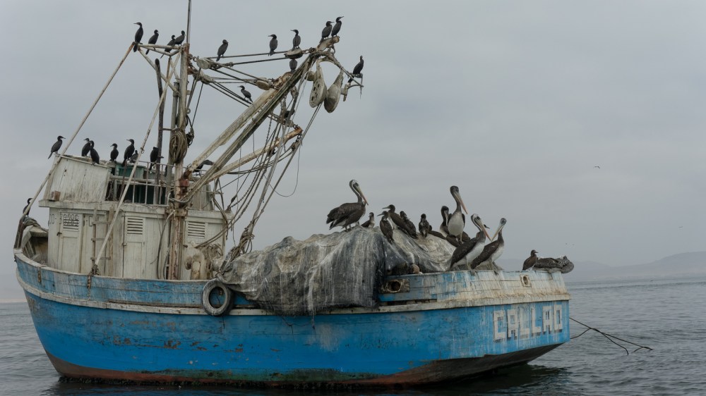 13045138644_7e056606fc_h