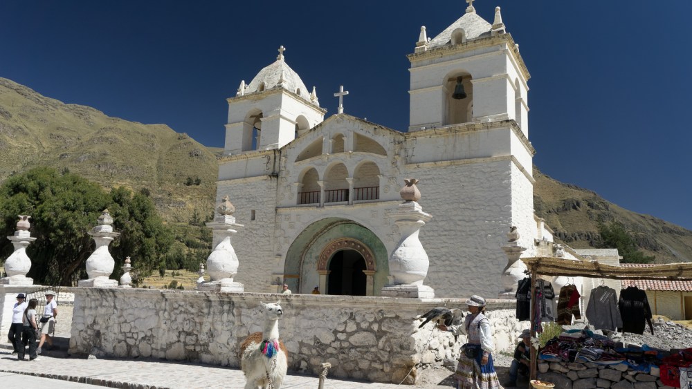 13045329074_62704c297c_h