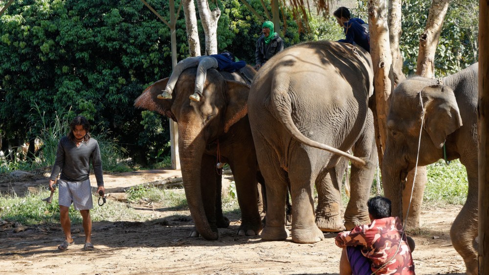 14190098007_1a1d09b34c_h