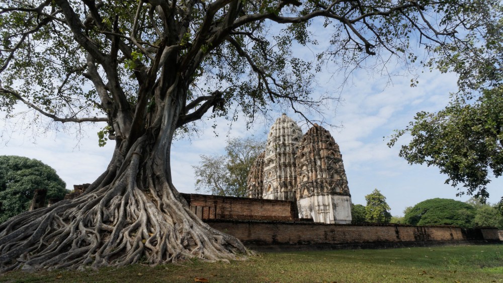 14373261261_9815df2f7c_h