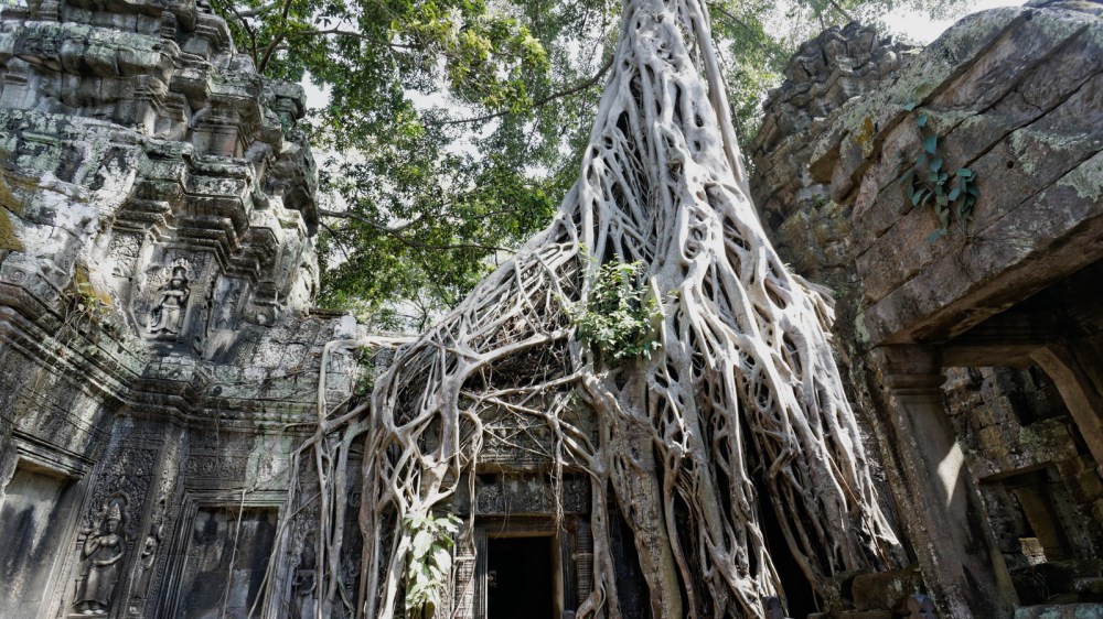 14373446571_f272341ca3_h