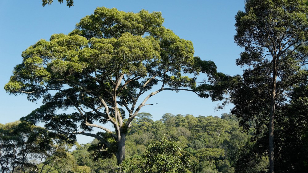 14375052112_8b6e08283f_h