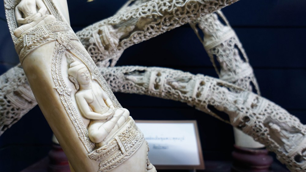 14375352234_adc56013ef_h