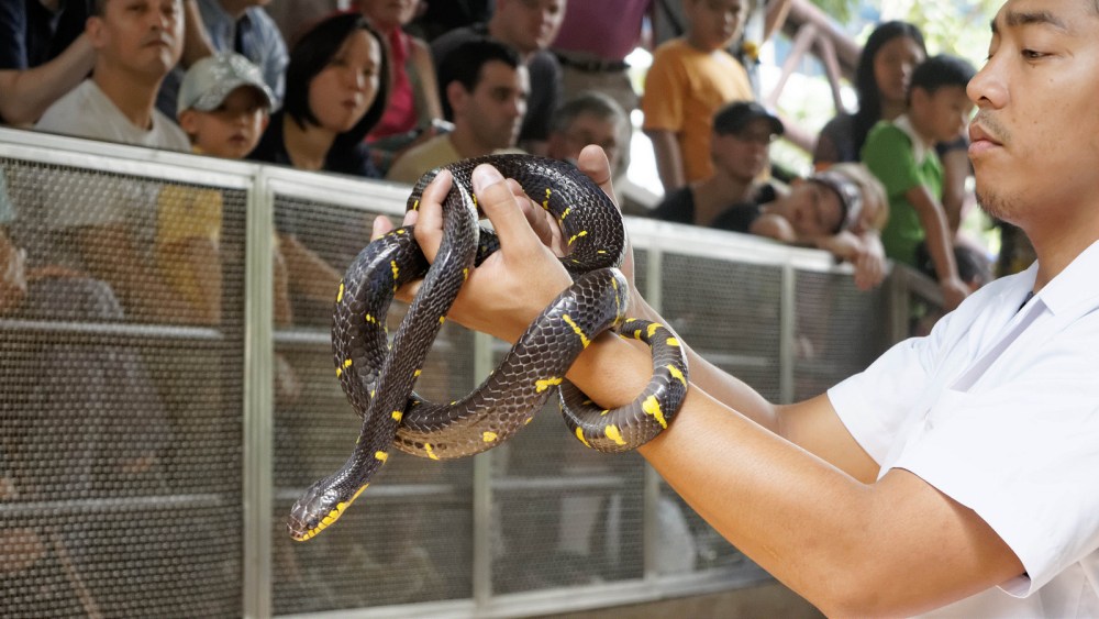 14375455764_53bf0f0a1d_h