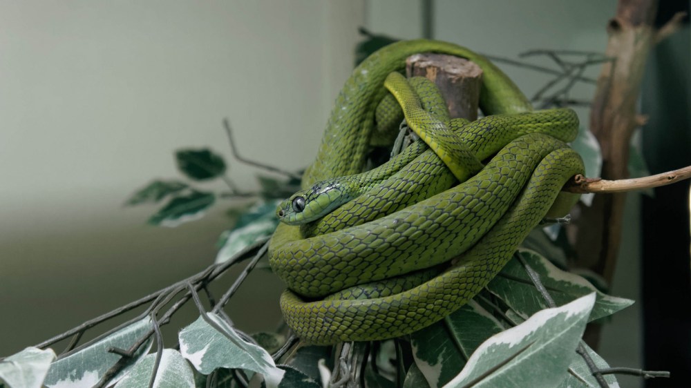 14376396265_61f1ca81dc_h