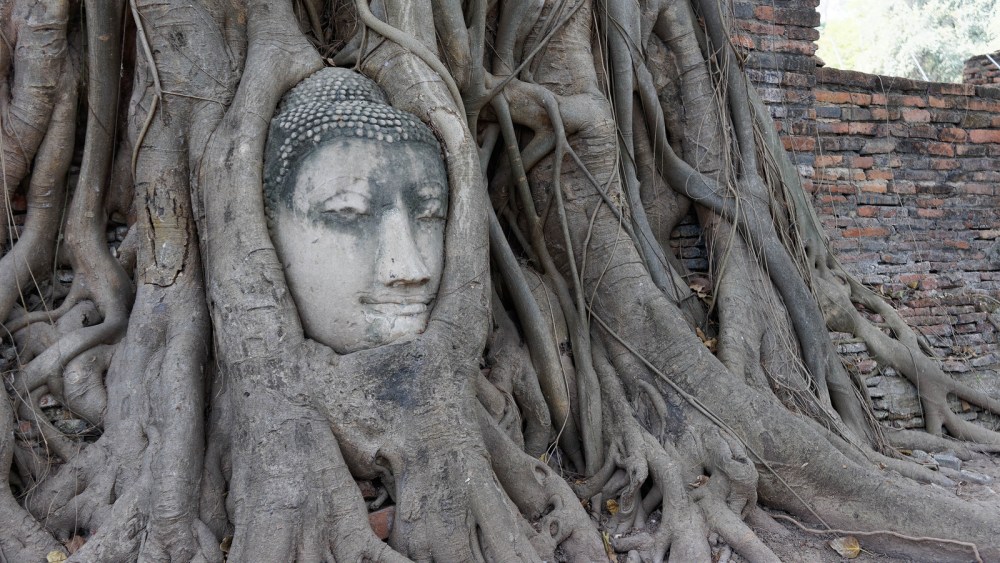 14376621135_08f99d5d4d_h