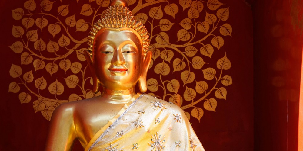 14396581023_fa34fbdab2_h