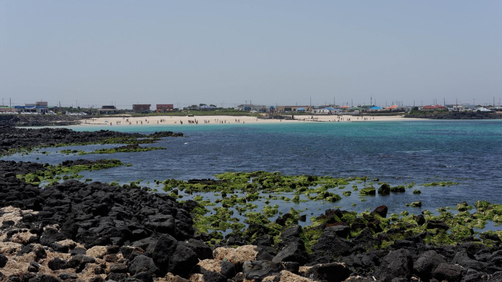 15239352359_f4bc2cc647_h