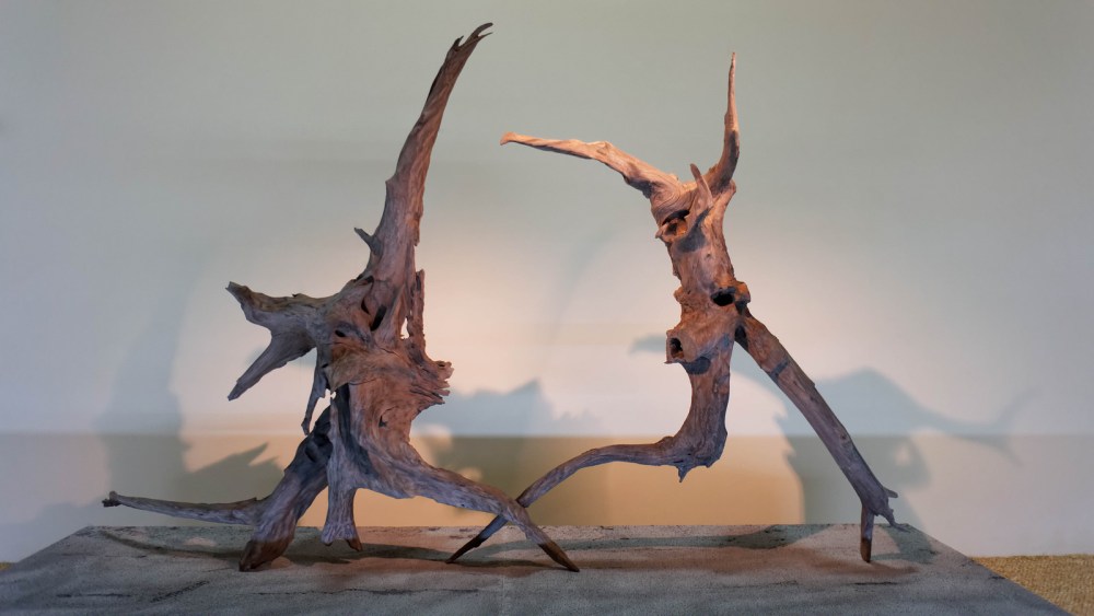 15239593270_17c9f28def_h