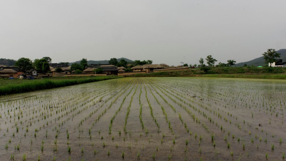 15402869346_9b8fa40022_k