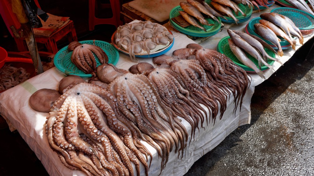 15422865851_b6387f0cdd_h