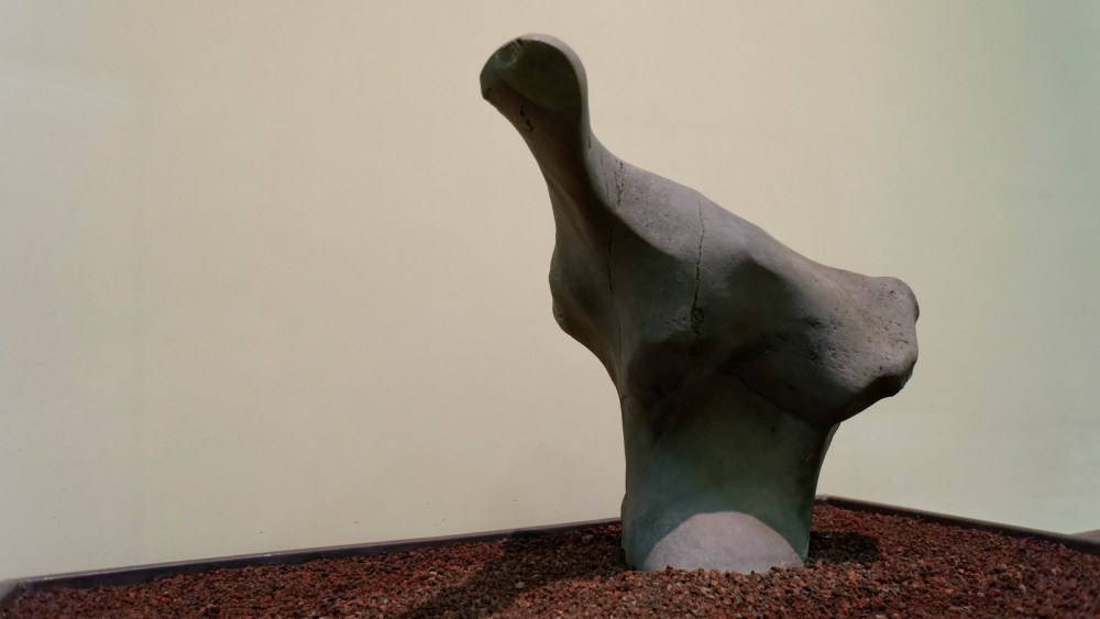 15422944361_44b0f6cac1_h