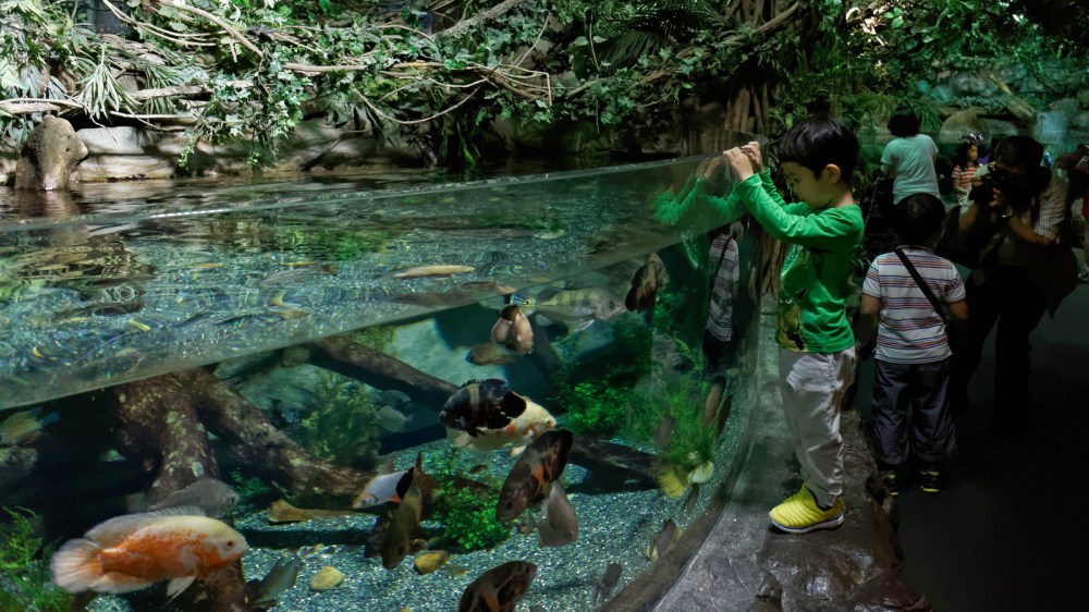 15425727072_fe196188d0_h