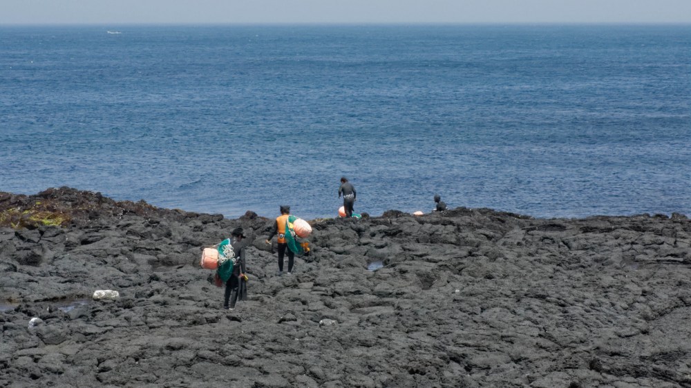 15426112355_a3b0caa7db_h