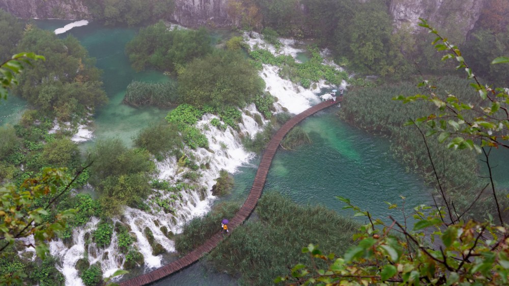 15700498273_7bef293a3a_k