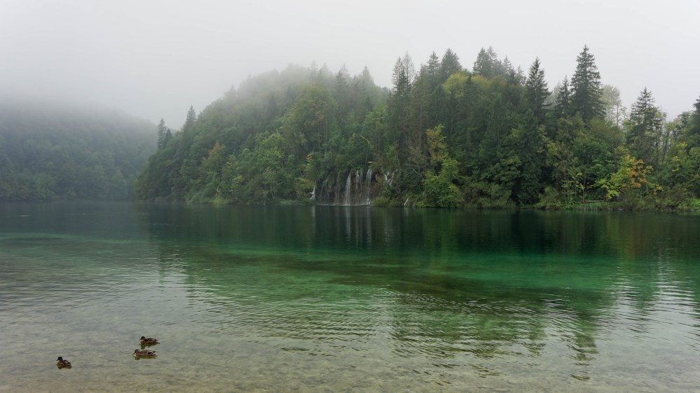 16134152489_cf7d9e1ccd_k