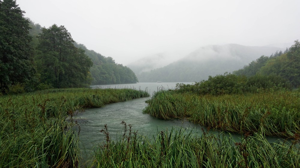 16294435256_96992a27f4_k