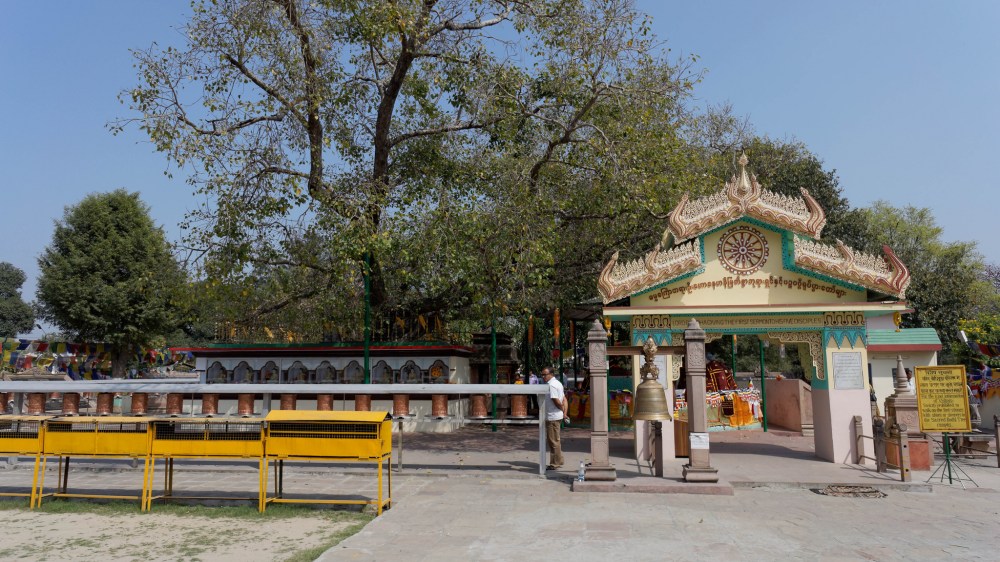 17543343676_71d67d01cd_k