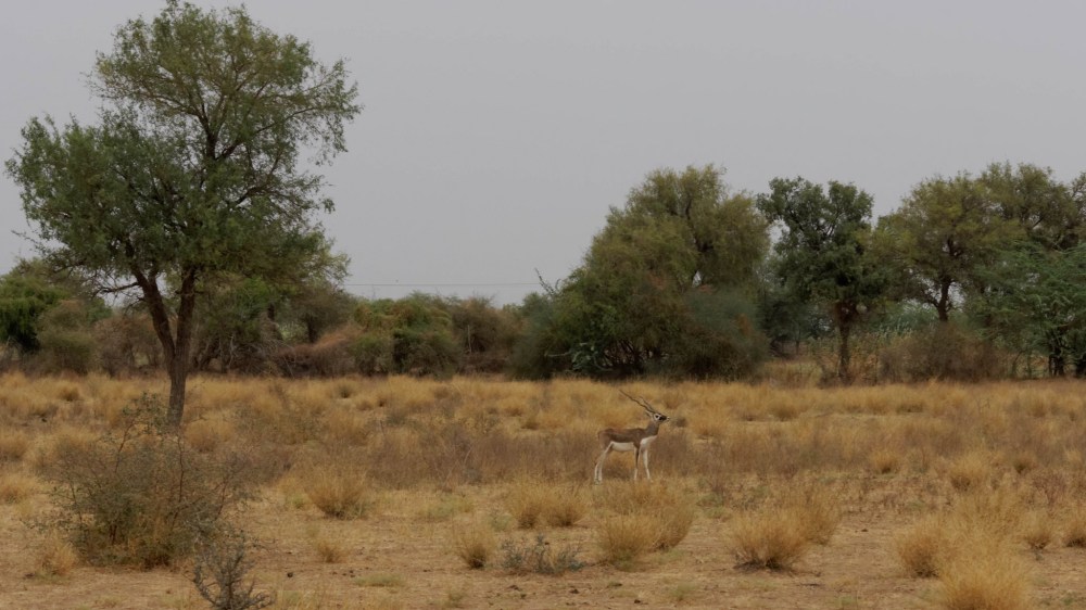 17645309132_a27e049b65_k