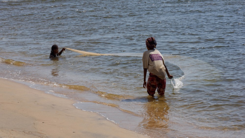 23033370374_bc53ff4966_k