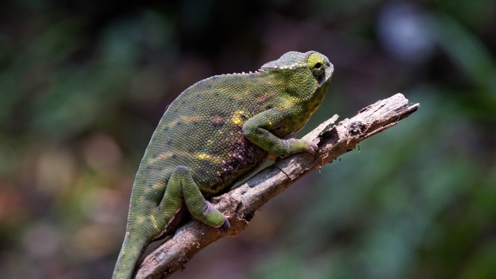 23033413154_3a2f56c33b_k