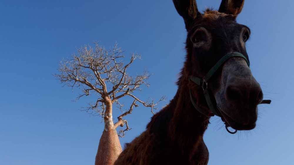 23034271943_7bb5c9e042_k