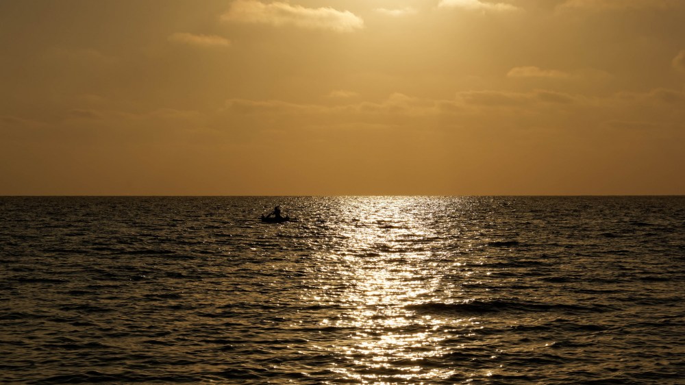 23034278463_dad35f0595_k