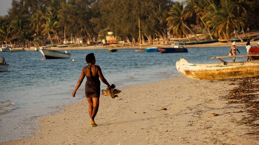 23034279833_5421fe9a34_k