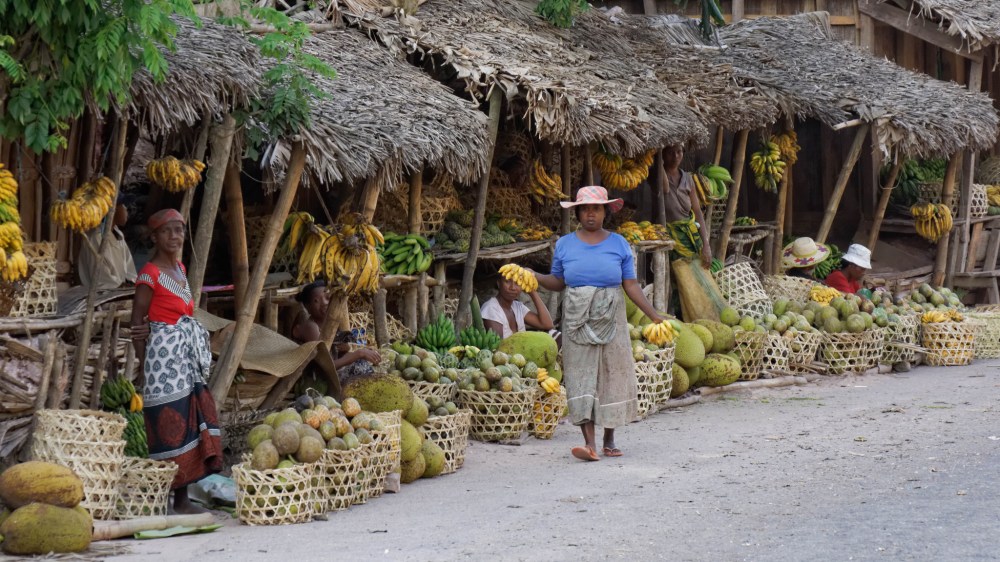 23034450583_3eaeca2eaa_k