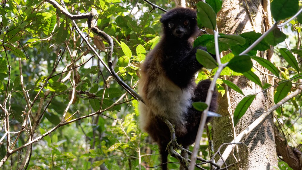 23034497493_17c6f64c8b_k