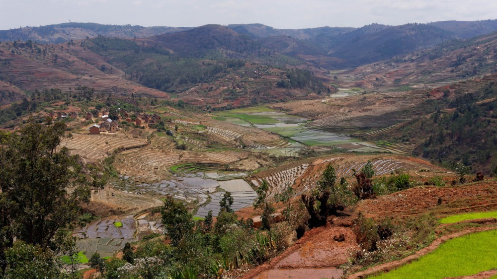 23034523643_a8d8e4fd89_k