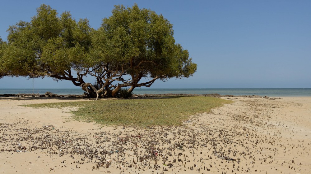 23293407909_9aa0910c43_k