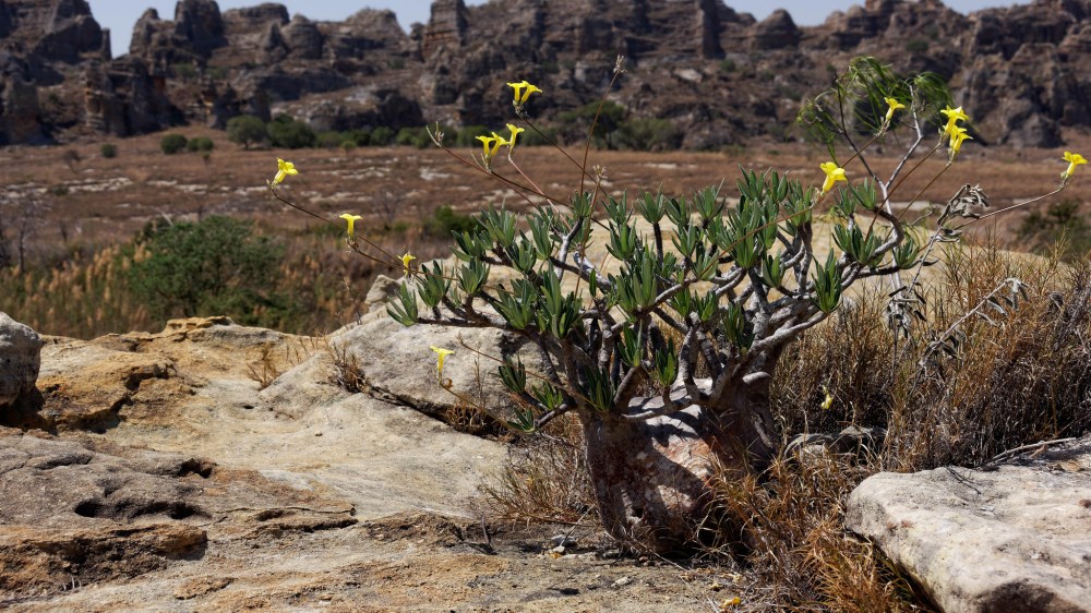 23293476909_6bd1e9f107_k