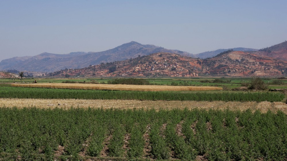 23293535239_1de6aa23a5_k