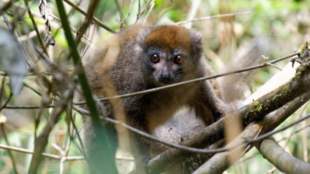 23293617739_dd9b3a63e3_k