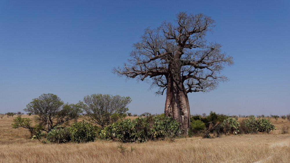 23365703440_236d43f8ae_k