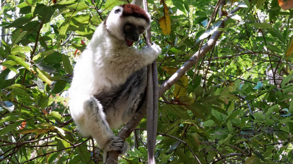 23365757410_5073539ef2_k